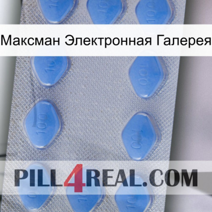Максман Электронная Галерея 21